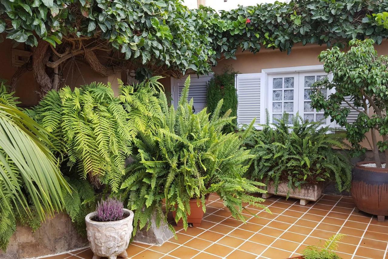 Orotava Garden House Perfect For Families Villa La Orotava Luaran gambar
